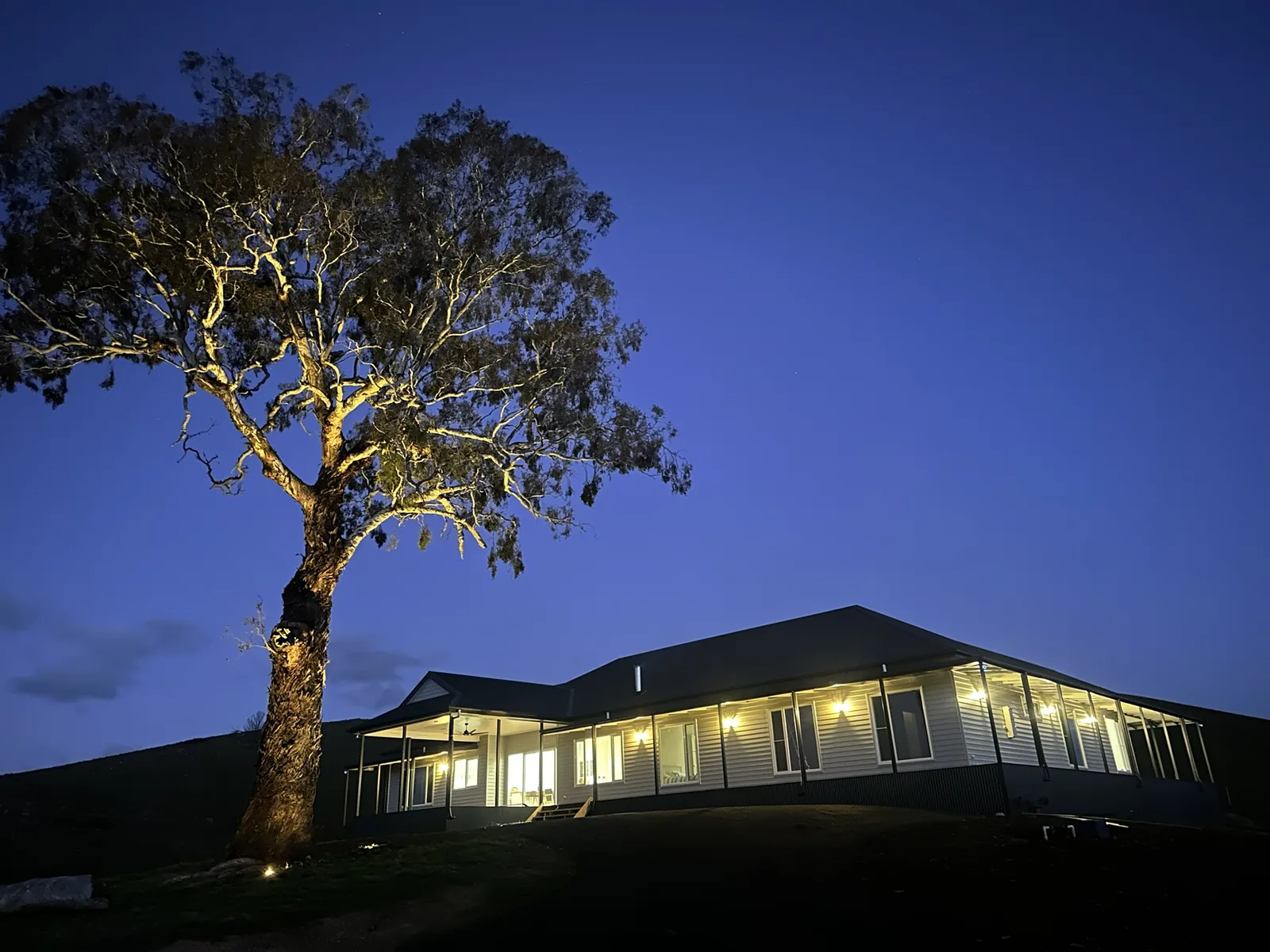 The Alexandra house at night with warm interior light and an uplit gum tree
